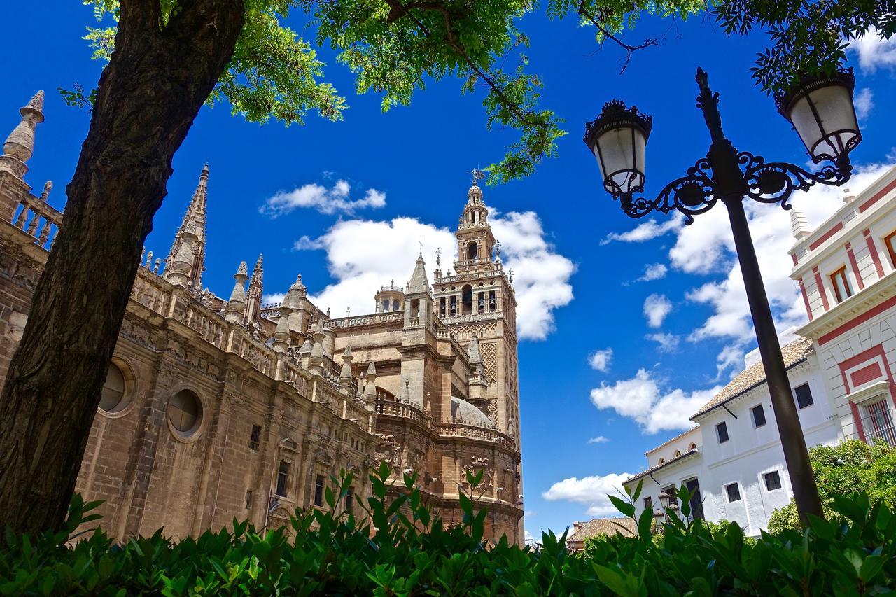 Hostly Acetres 1A Loft In City Center, Comunal Terrace, Fibre,Parking Optional Sevilla Eksteriør billede