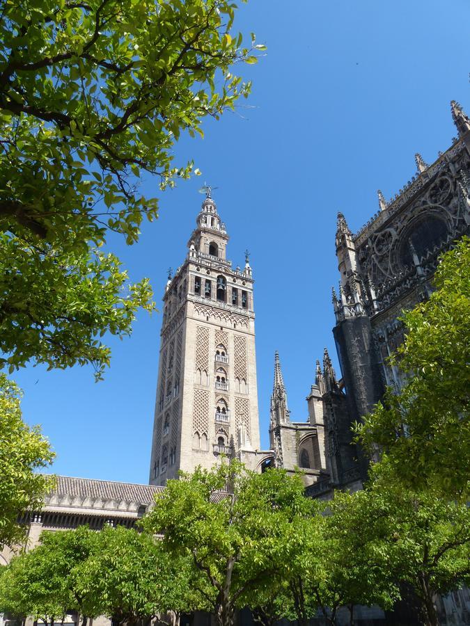 Hostly Acetres 1A Loft In City Center, Comunal Terrace, Fibre,Parking Optional Sevilla Eksteriør billede